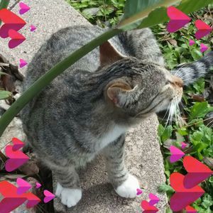 Meet your Posher, Nancy bruno